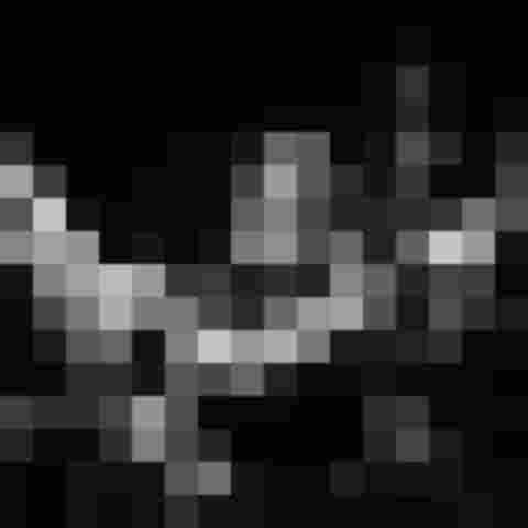 Musikerin spielt Flöte in einem Ensemble. Fokus auf Jugend und Musikausbildung im Pinzgau.