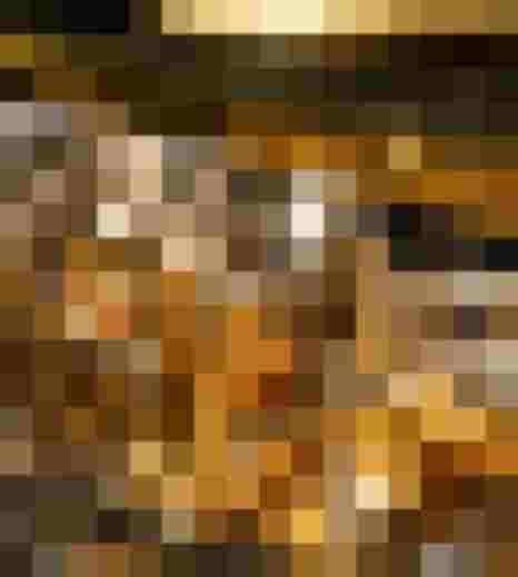 Detailaufnahme eines Blechblasinstruments mit glänzenden Ventilen und Rohrleitungen.