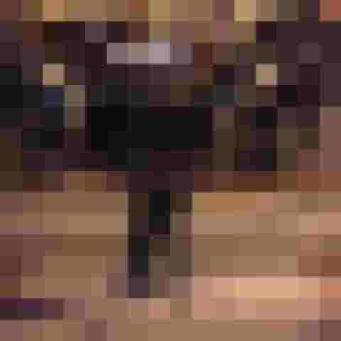 Ein Junge spielt Tuba vor einer Schülerblasmusikgruppe in festlicher Umgebung.